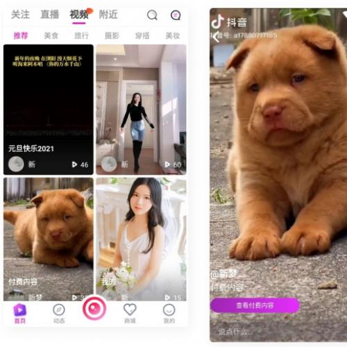 2021直播带货APP源码下载|三端兼容电商系统源码|云豹二次开发完整方案