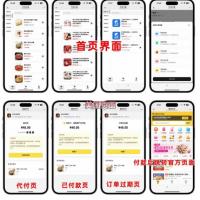 2025美团代付系统源码|多平台聚合支付方案/React+Node全栈开发/自动化订单脚本/五套UI模板源码