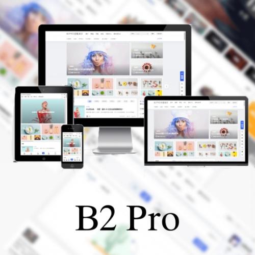 B2 PRO主题5.4.2免授权版源码下载 - 安装即激活版