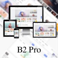 B2 PRO主题5.4.2免授权版源码下载 - 安装即激活版