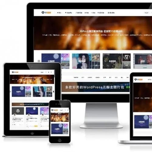 WordPress虚拟资源收费主题源码下载：图片素材网站+全支付接口+自适应模板